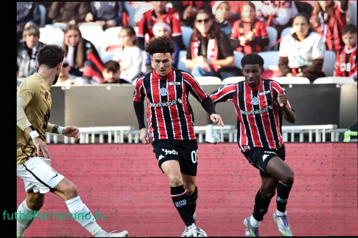 Movimientos en el OGC Nice: Salidas de Louchet y Cho, Llegada de Hein