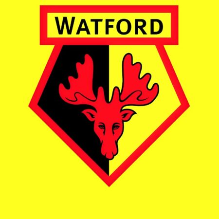 Watford rechaza firmemente la consulta por su estrella