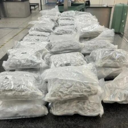 Exjugador del Arsenal escéptico sobre las posibilidades del equipo en la carrera por el título