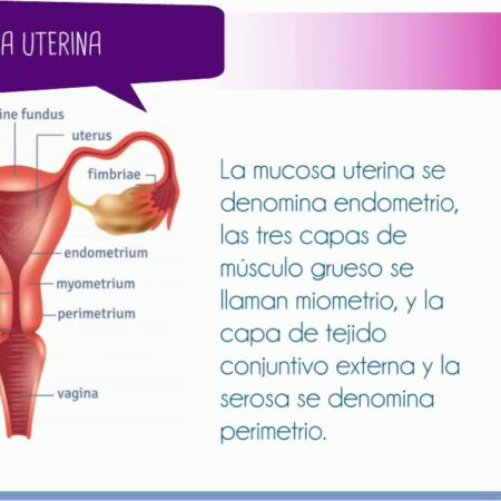 Superliga Femenina evalúa eliminar el descenso en una reestructuración importante