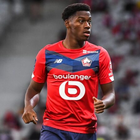 ¿La Dependencia Excesiva en David Perjudicó al Lille en la Champions?