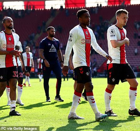 El Southampton Iguala Récord Histórico de Derrotas en la Premier League