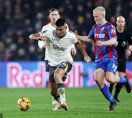Everton Ends Crystal Palace’s Unbeaten Run with Dramatic Late Winner