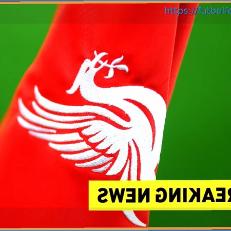 Liverpool exige 100M€ por Gakpo; el jugador, abierto al Atlético y La Liga