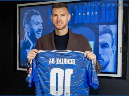 Schalke 04: Katic podría perderse la temporada; Dzeko sigue siendo duda