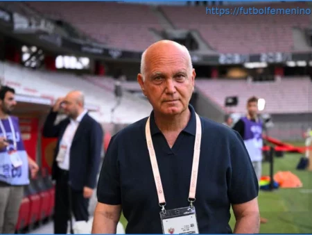 OGC Nice: ¿Un fondo de inversión anglosajón para reemplazar a Ineos? Claridad sobre el futuro del club